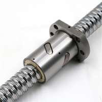 Precision Ball Screw Single Nut SFU1605 Use for Linear Actuator